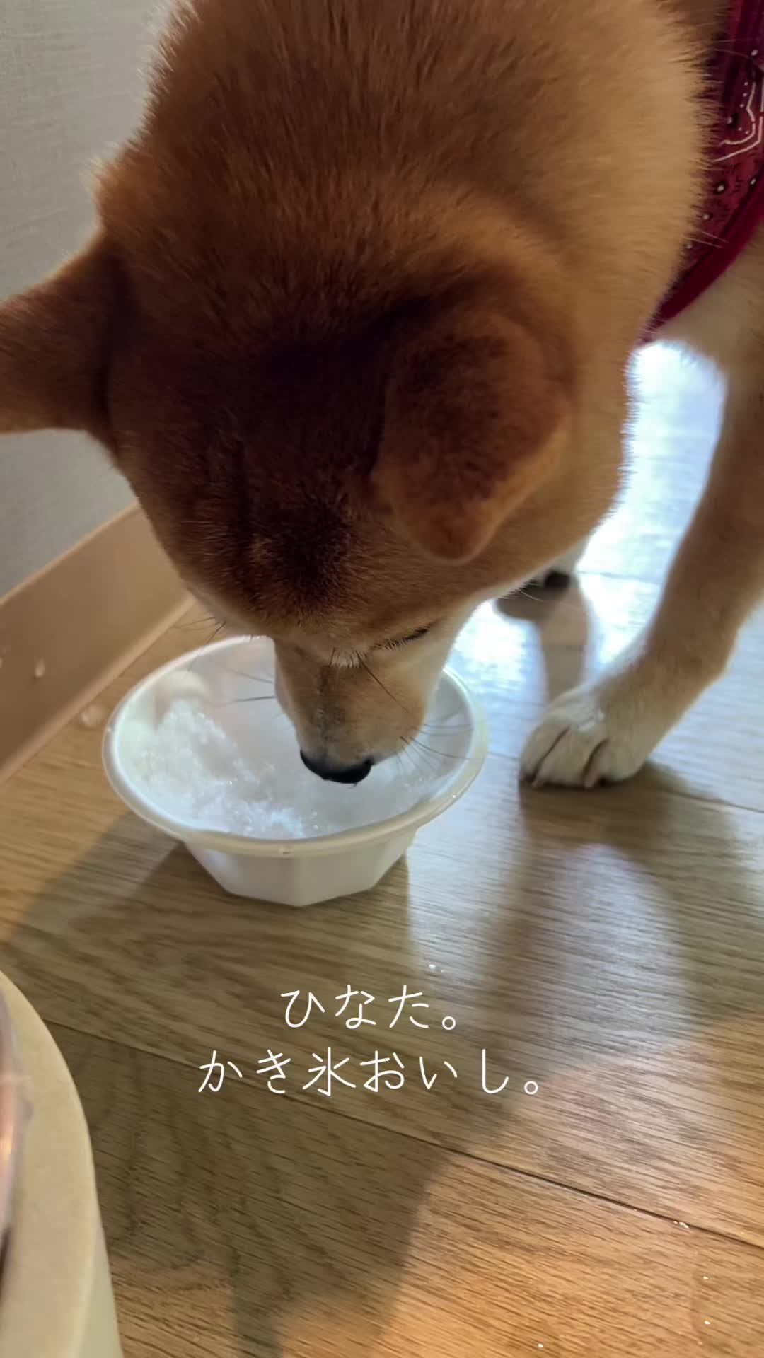 @ひでぽともぽ