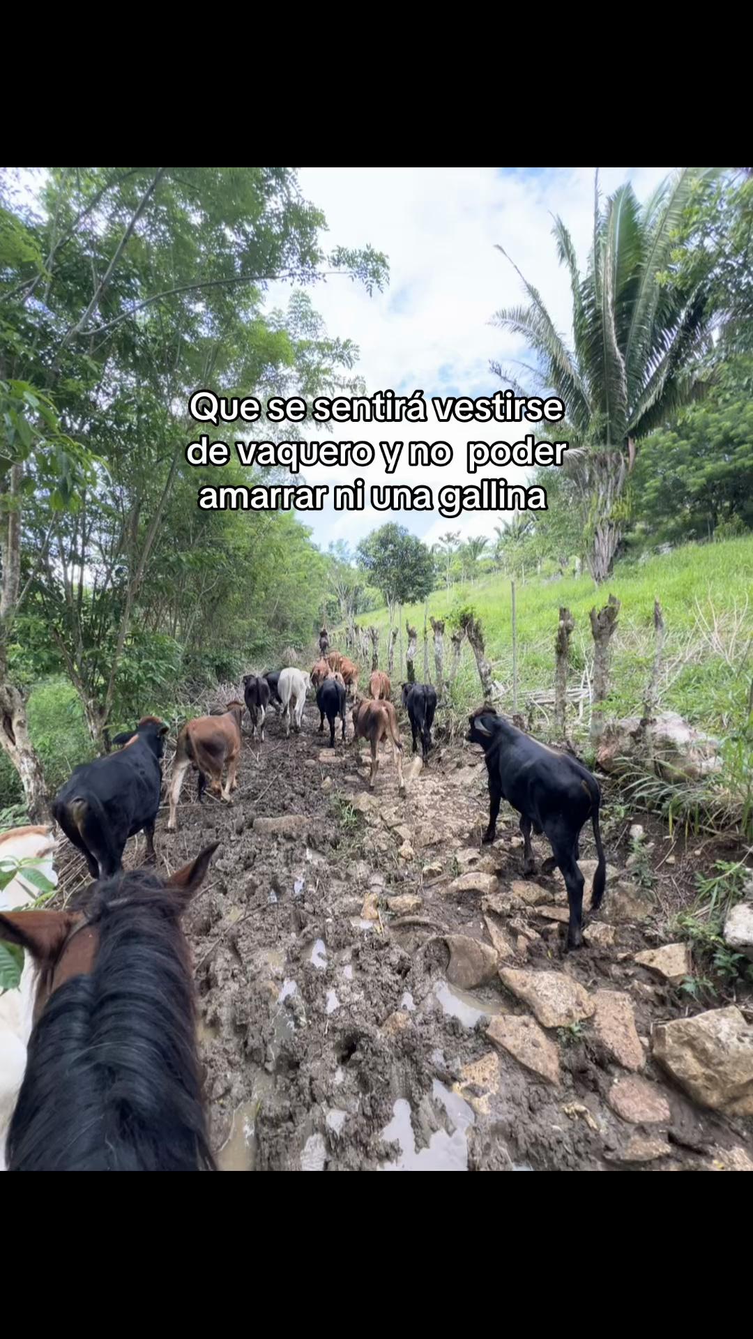 @ALVAREZ 🤠&hearts;️