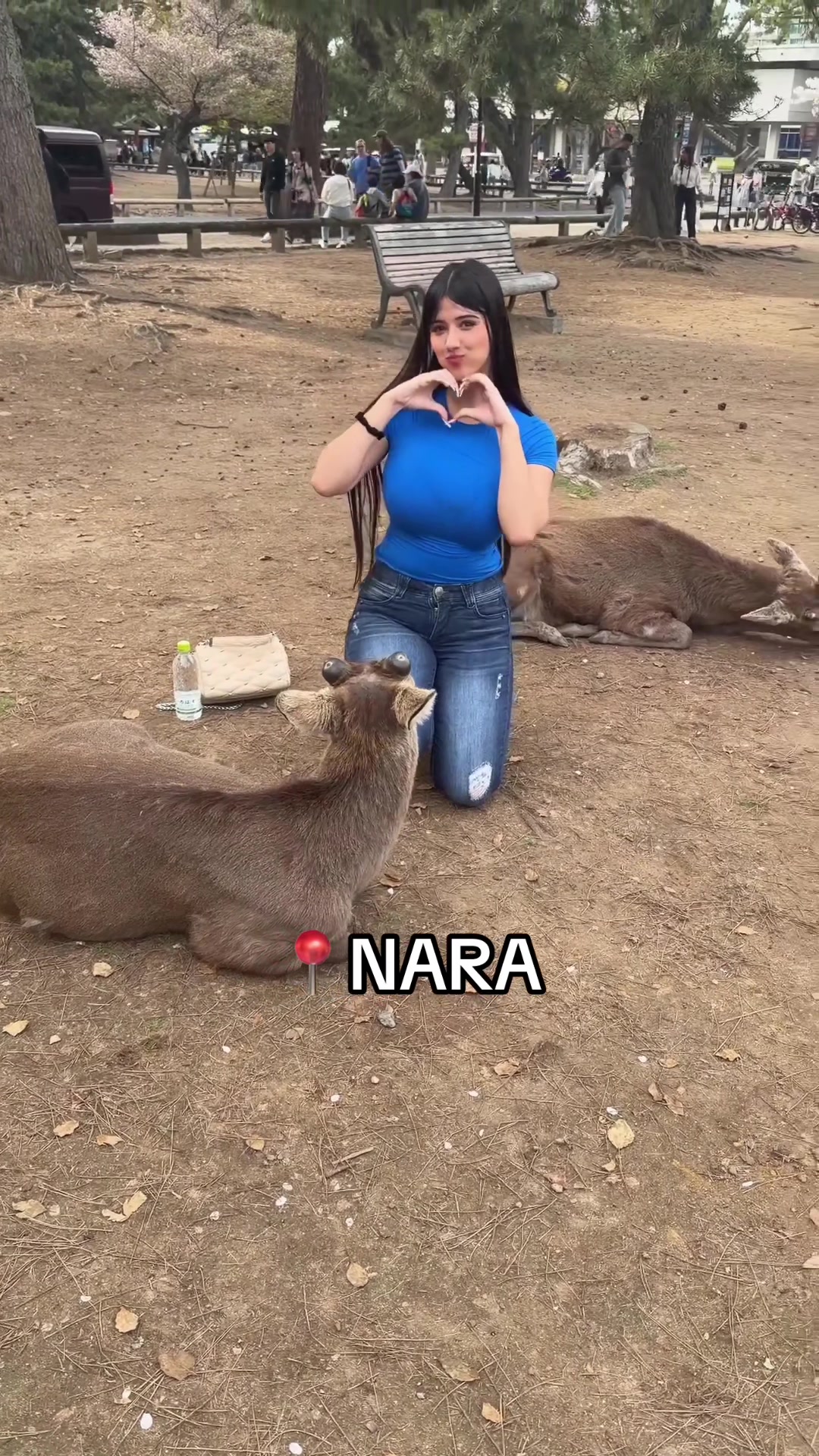 @tabby