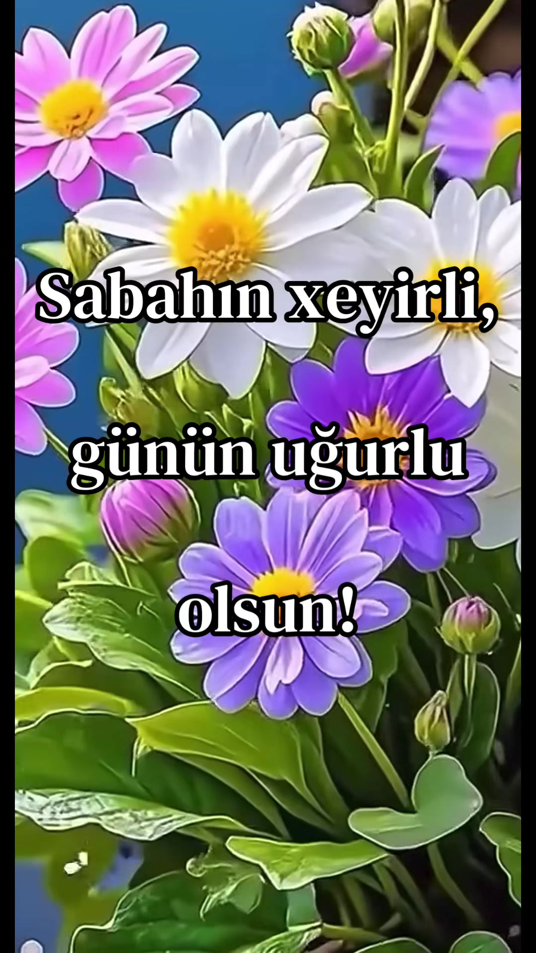 @Şımnayle