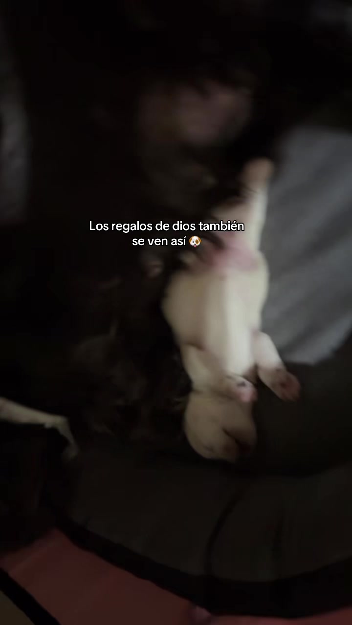 @Eljca11