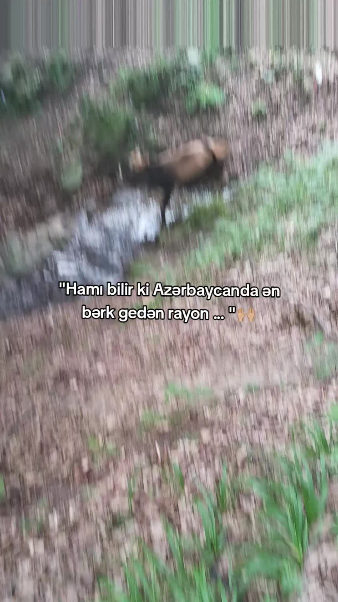 @𝗫𝗔𝗟𝗜𝗟𝗢𝗩🐊