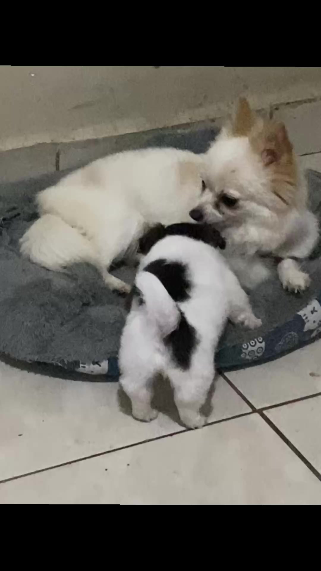 @Kira y Luna Benavides