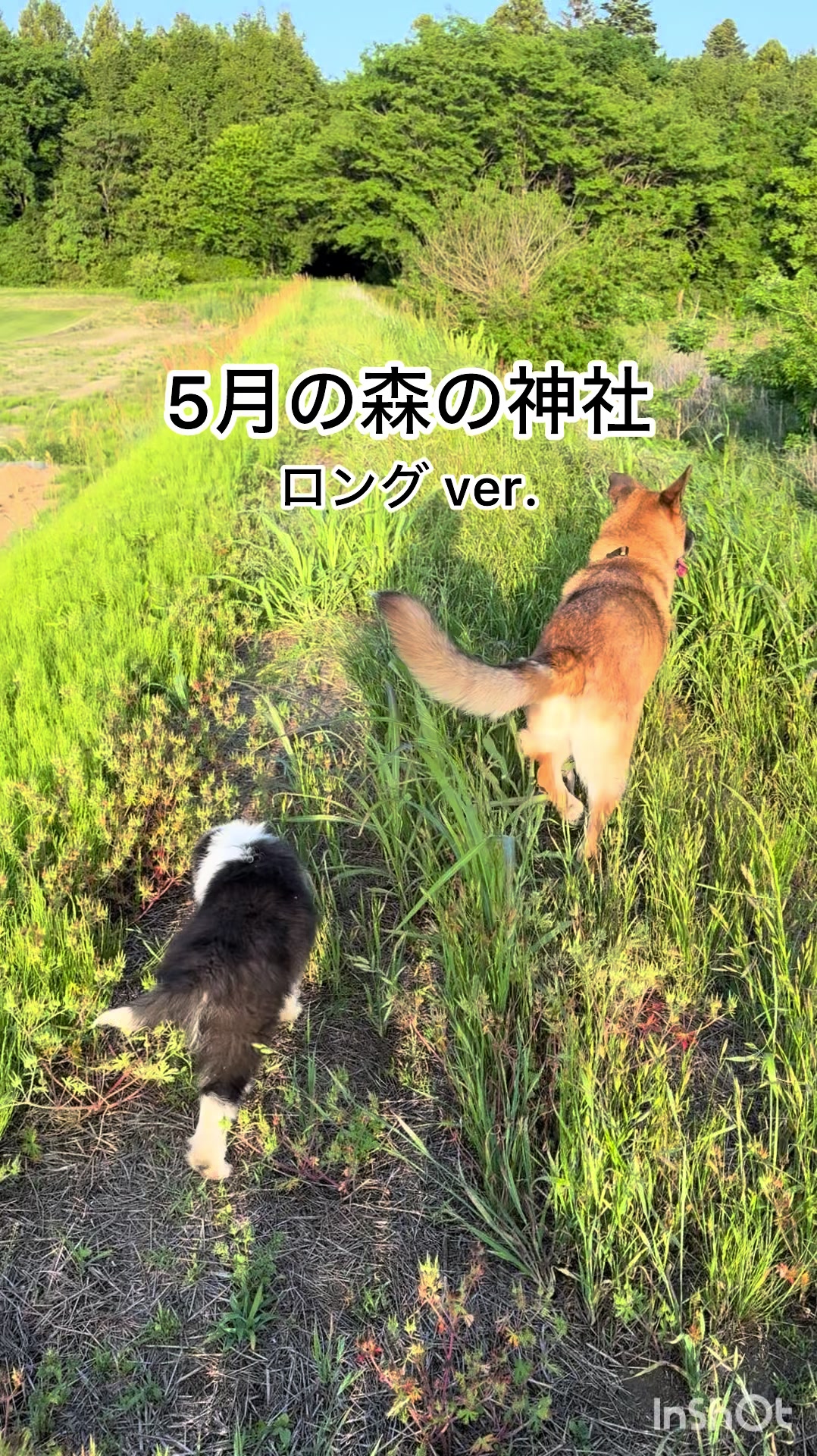 @ミウラ&bull;リョーコ(イーツカ&bull;リョーコ)