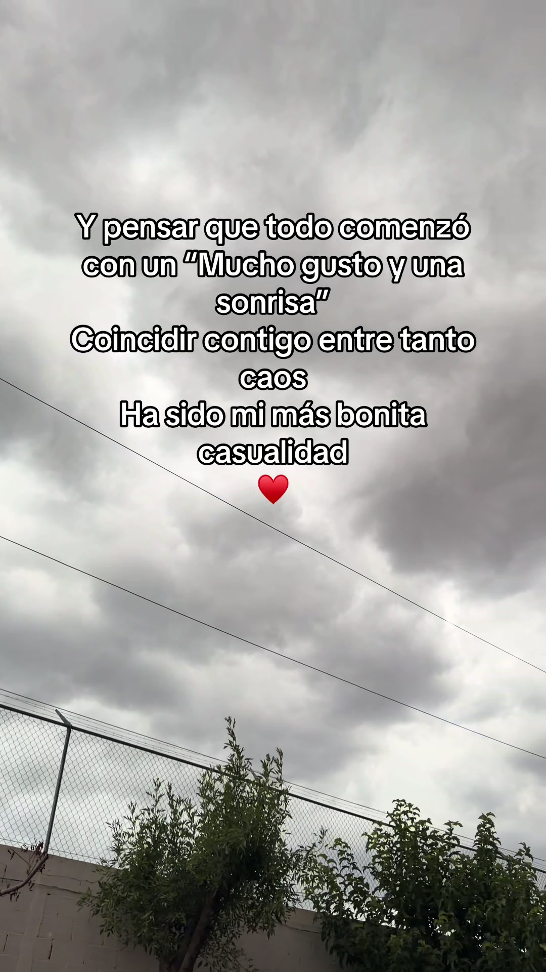 @𑣲𝓟ℳ