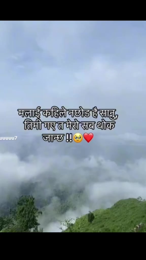 @M. R sunar124