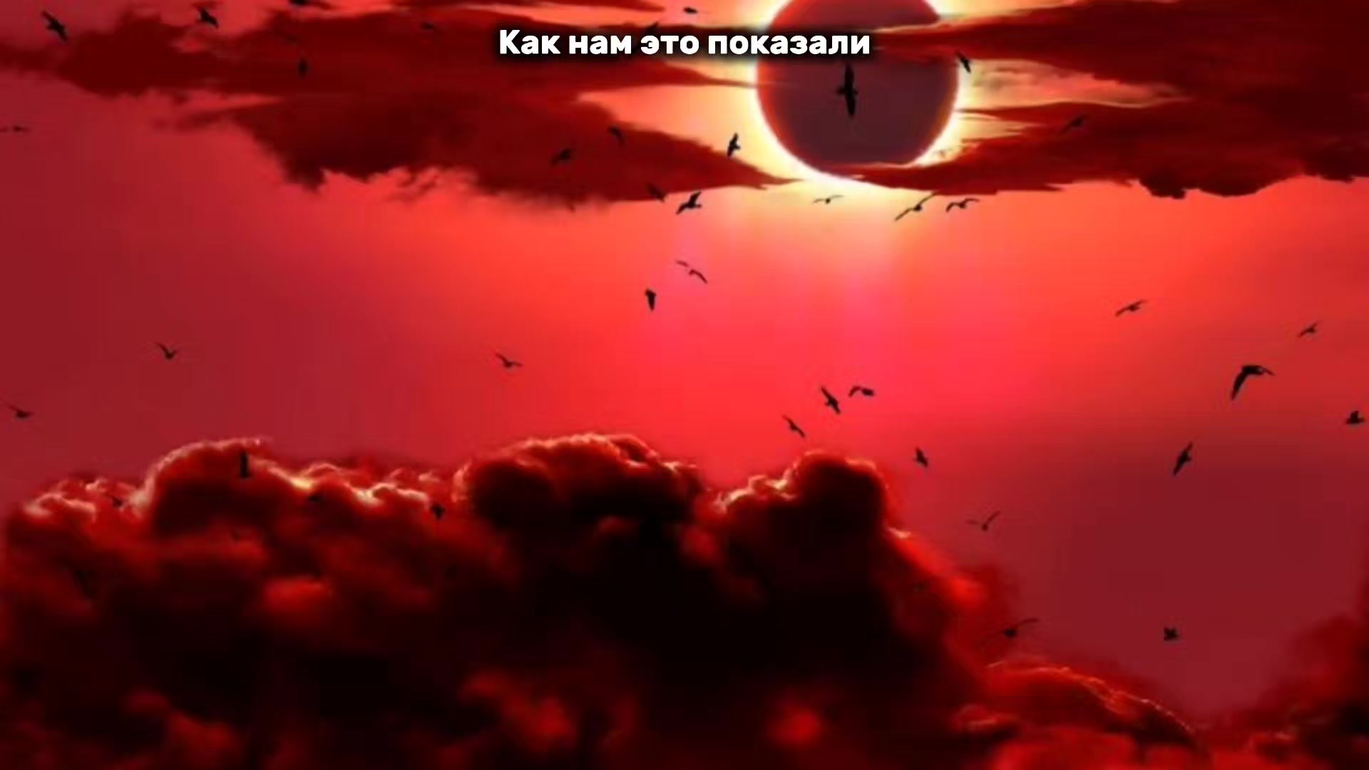 @Шмотка Давида