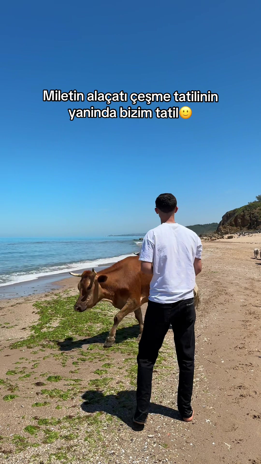 @ismailkrw