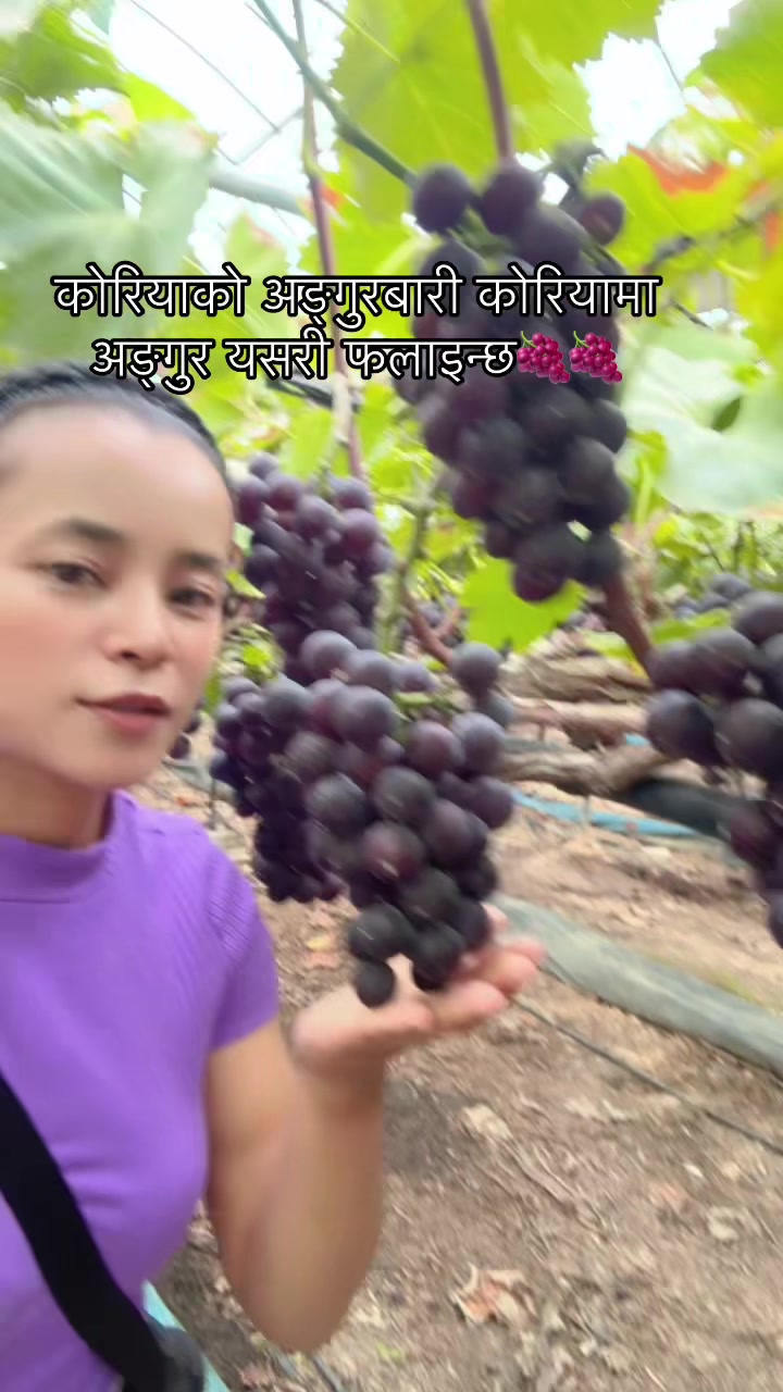 @poojachettri23🇳🇵❤️🇰🇷