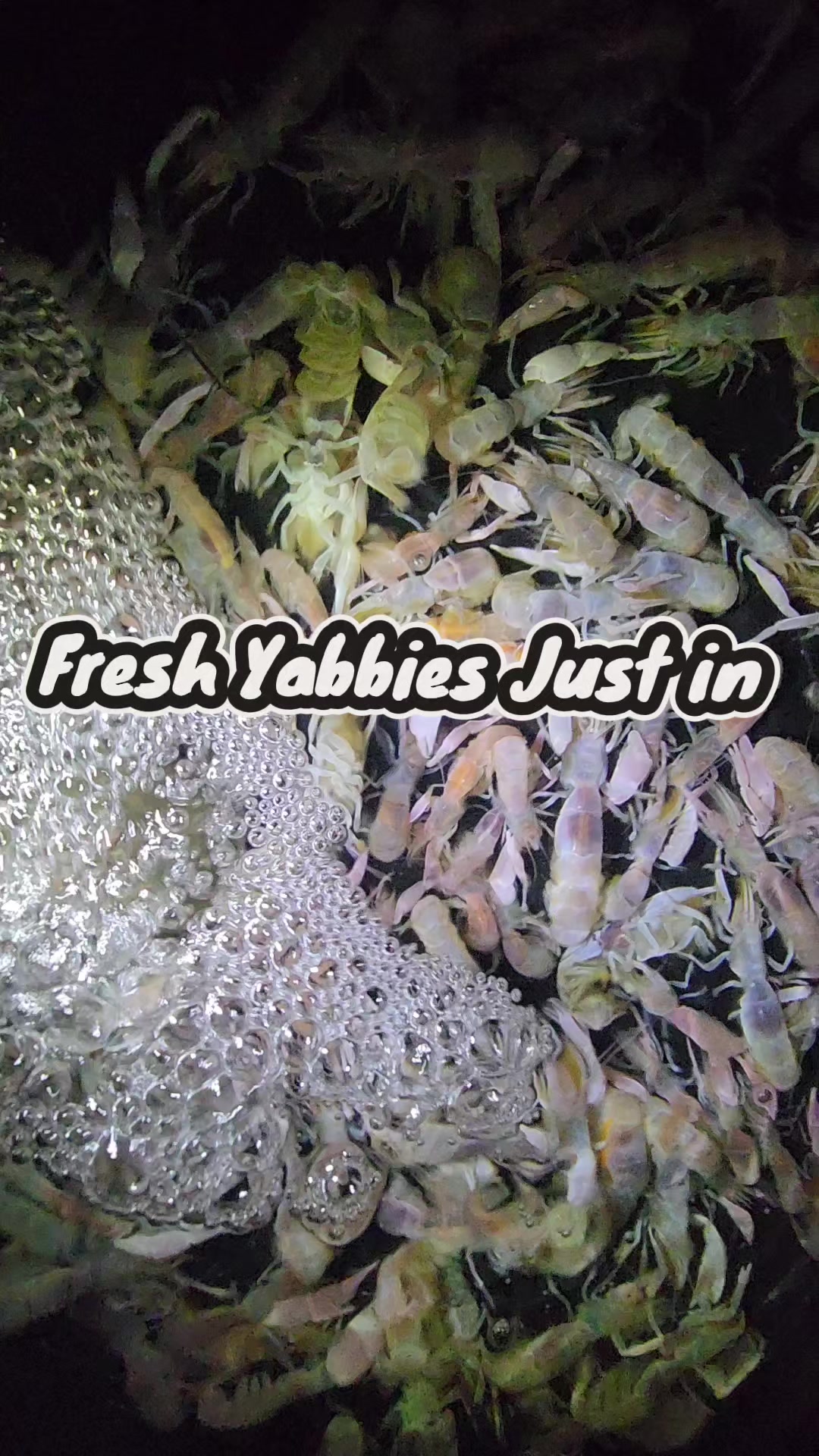@FirstCallBait&Tackle🎣
