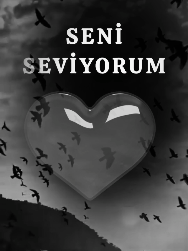 @SHOW İS NAME