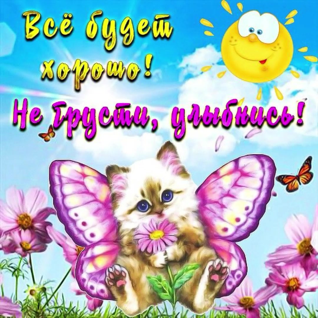 @voisher666