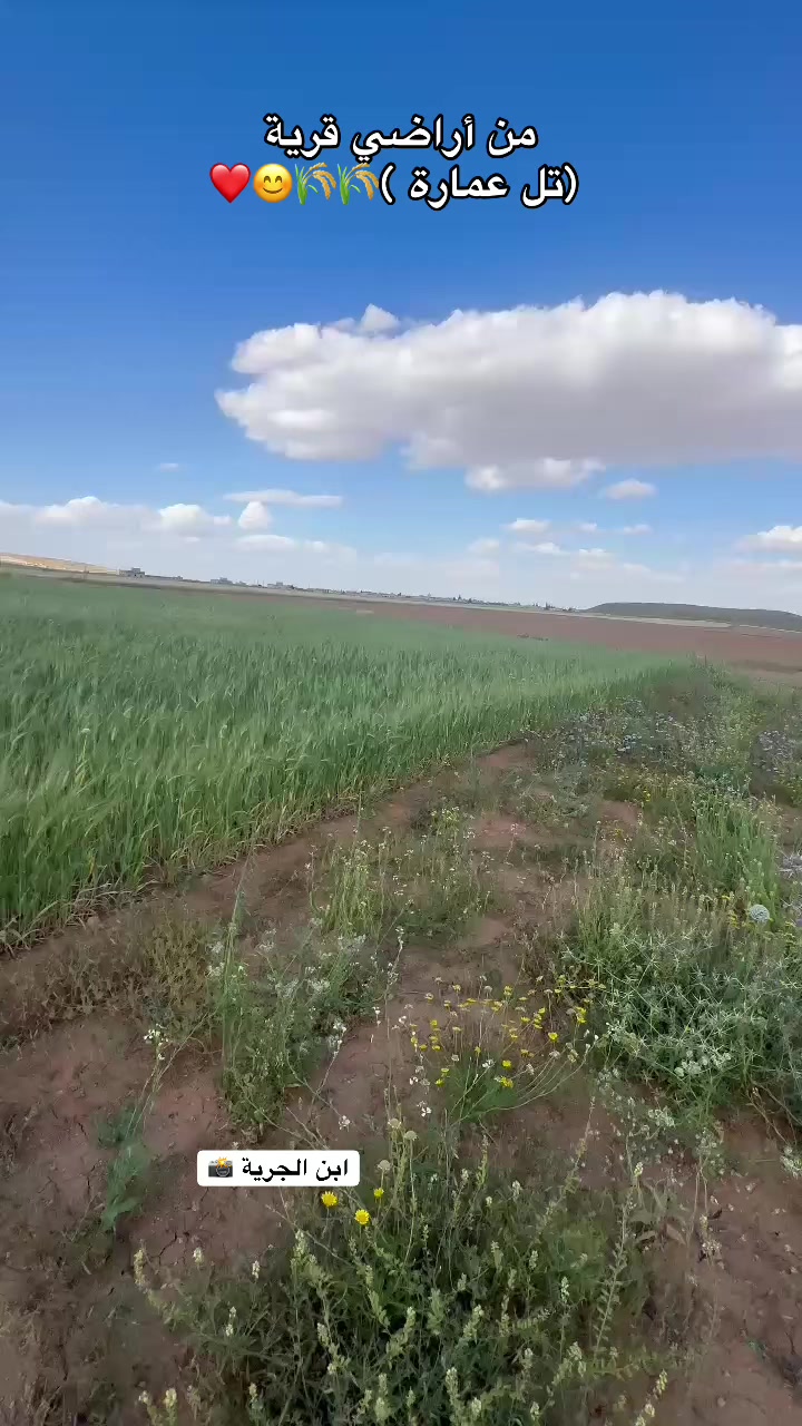 @أبن الجرية 📸