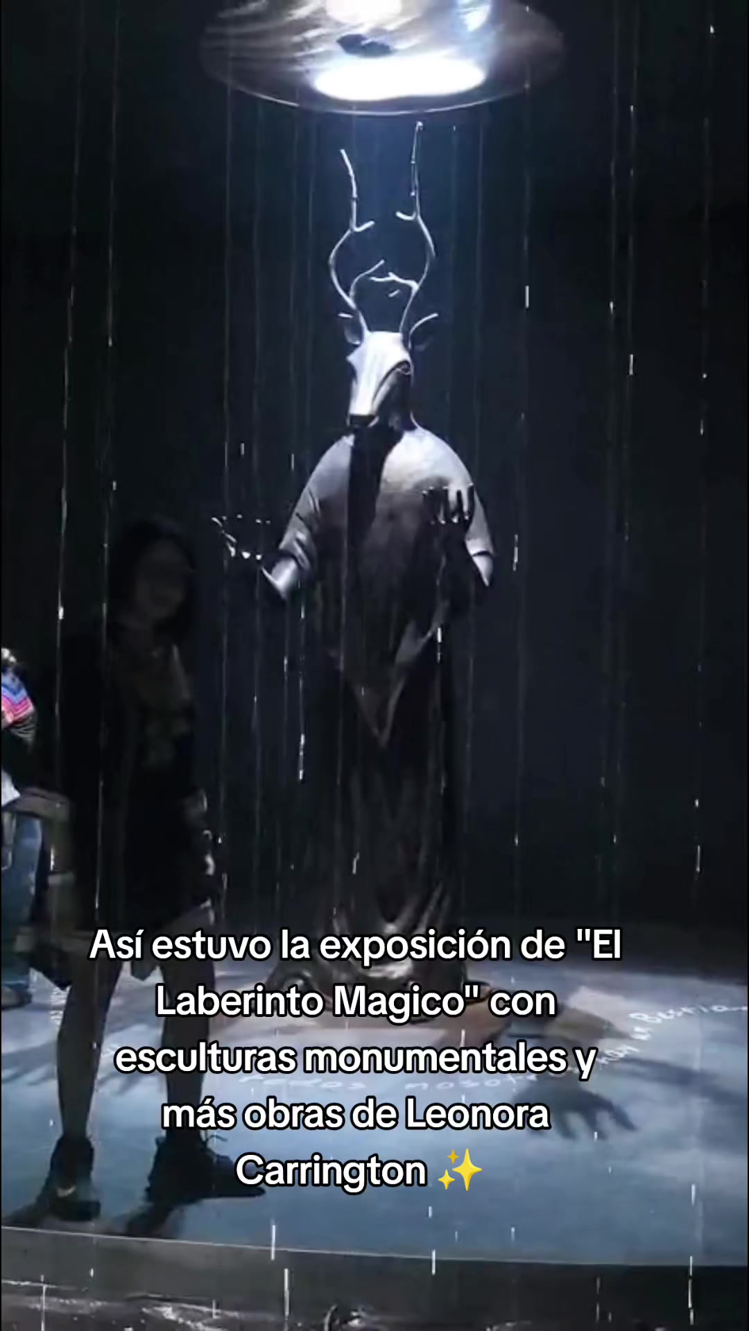 @Estefania LeChat