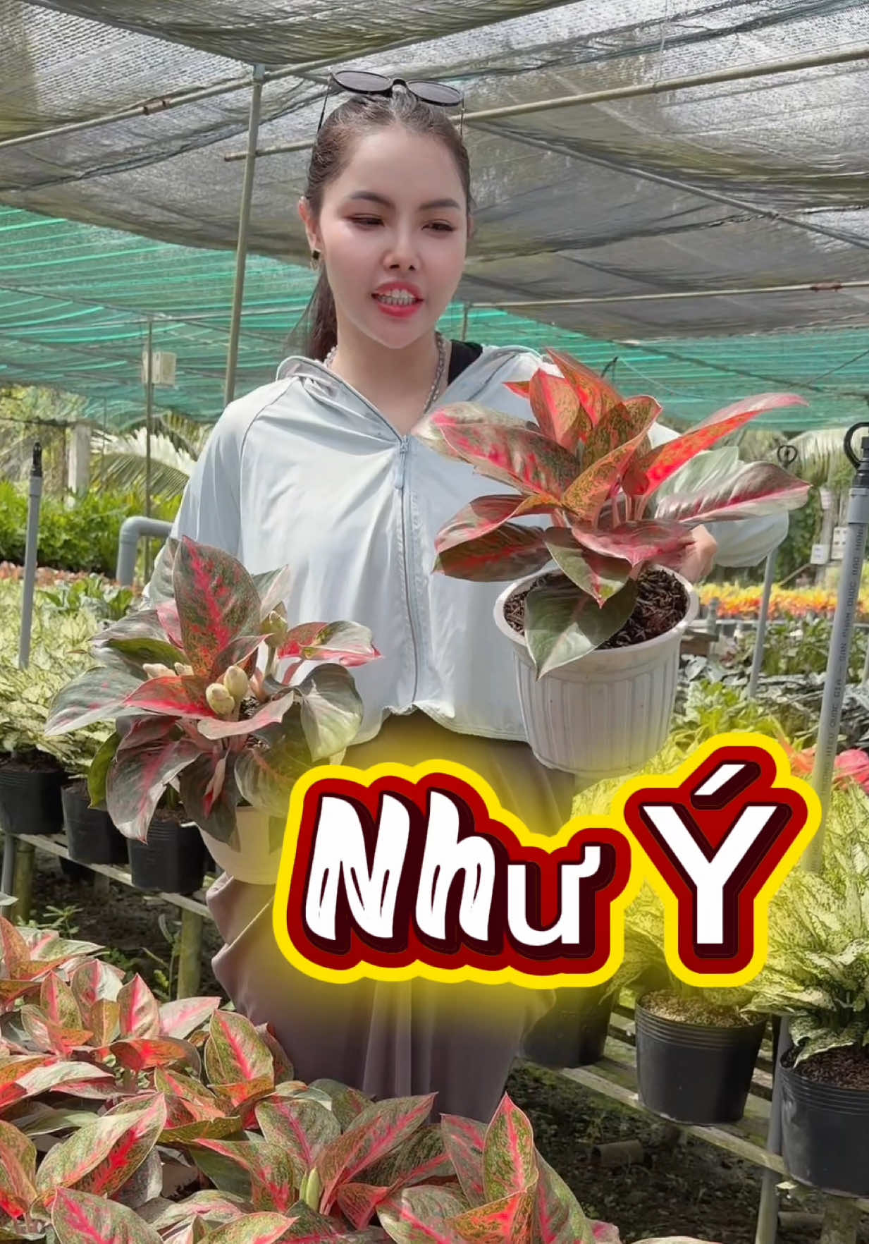 @Tiệm Lá Nhỏ