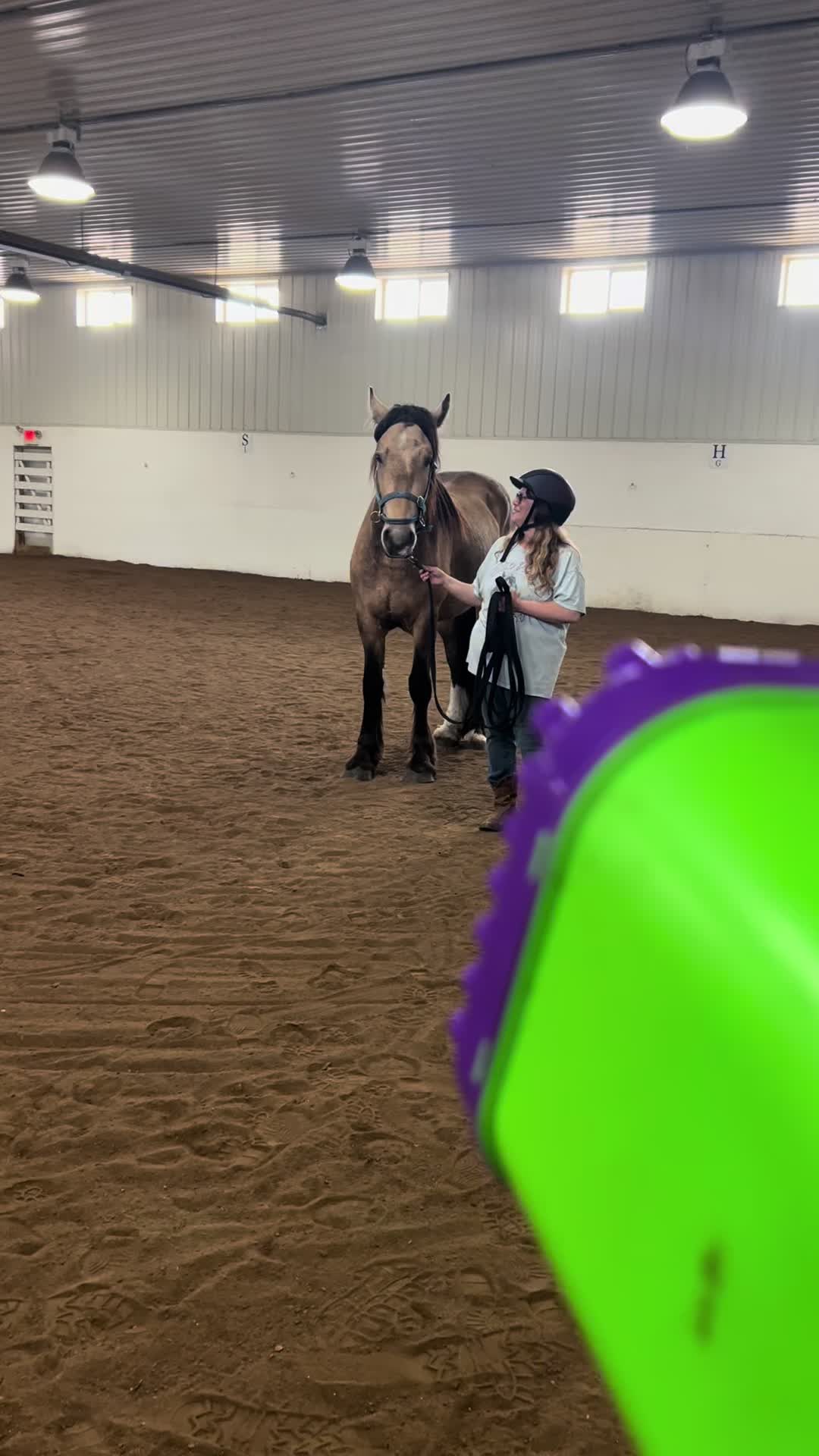 @Spirithorsecentermn