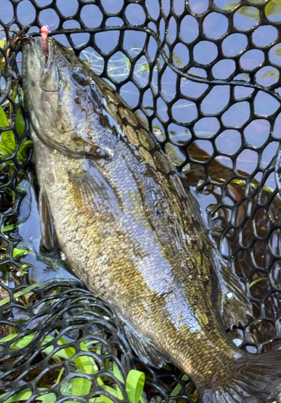@FlyFishDelawhere