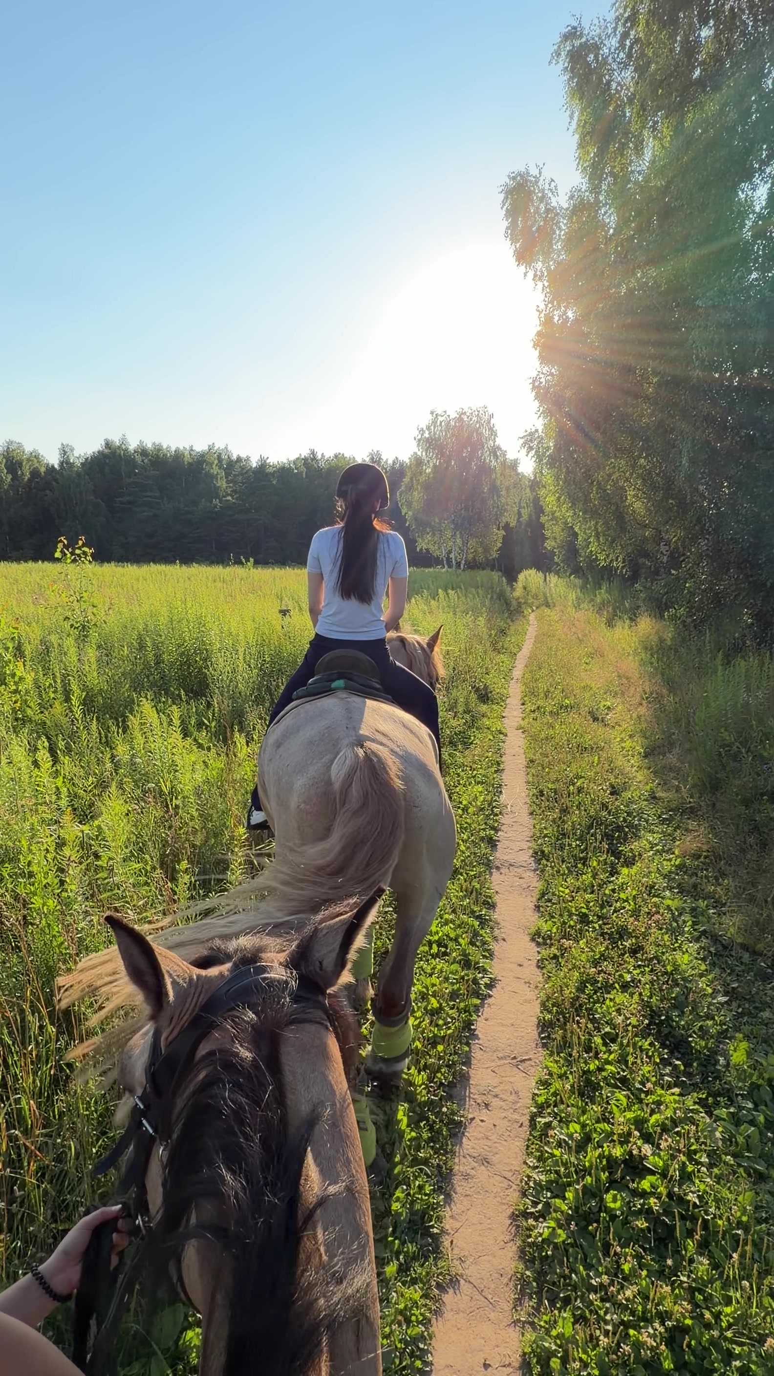 @taya