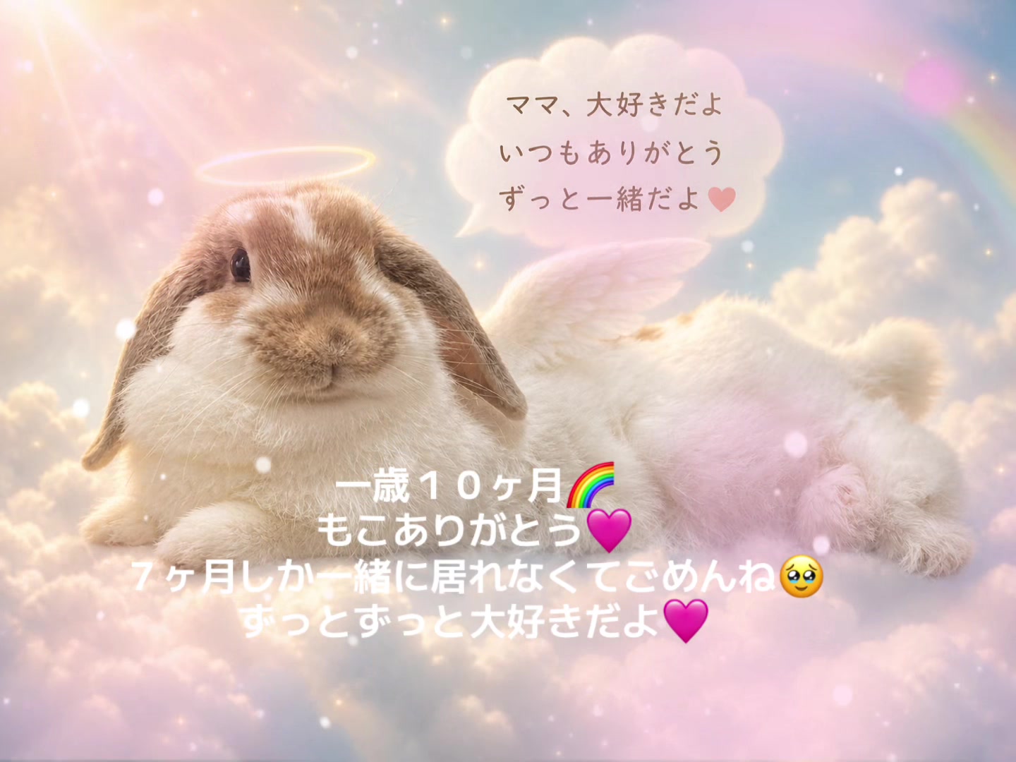 @🐖🧅ちぃ（マロン）🌰🐰🍍