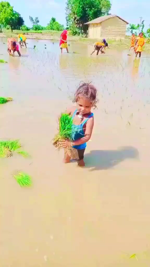 @Rajujii982324