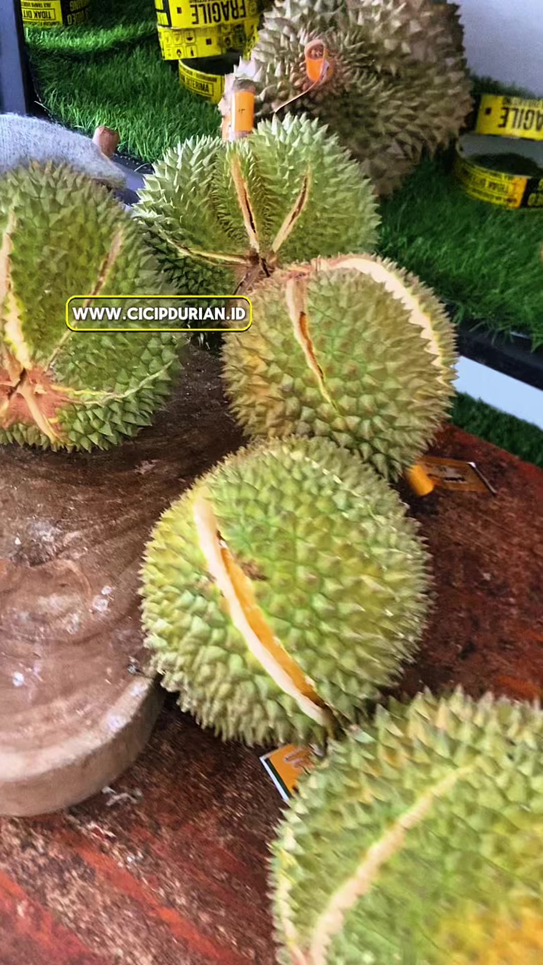 @Cicip Durian