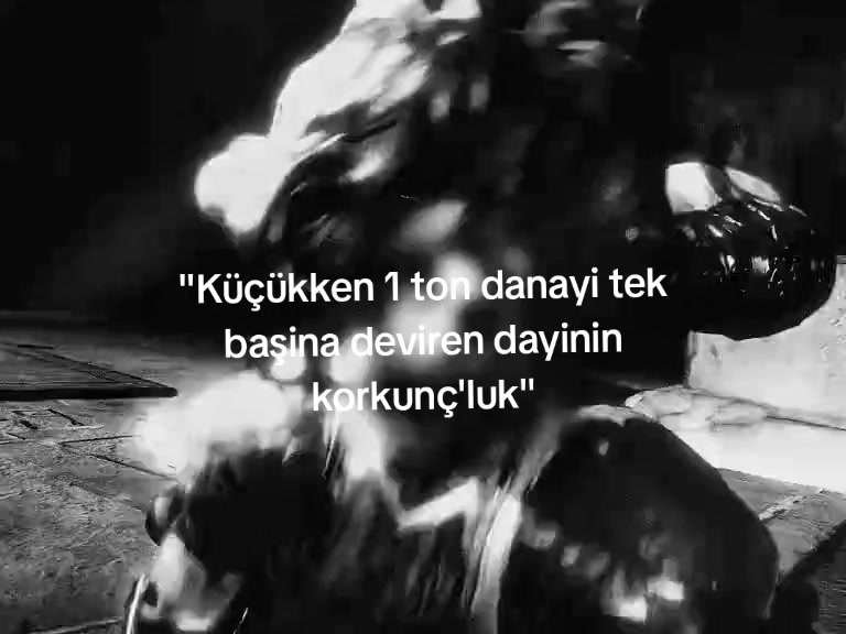 @Kıral değil kral 👌