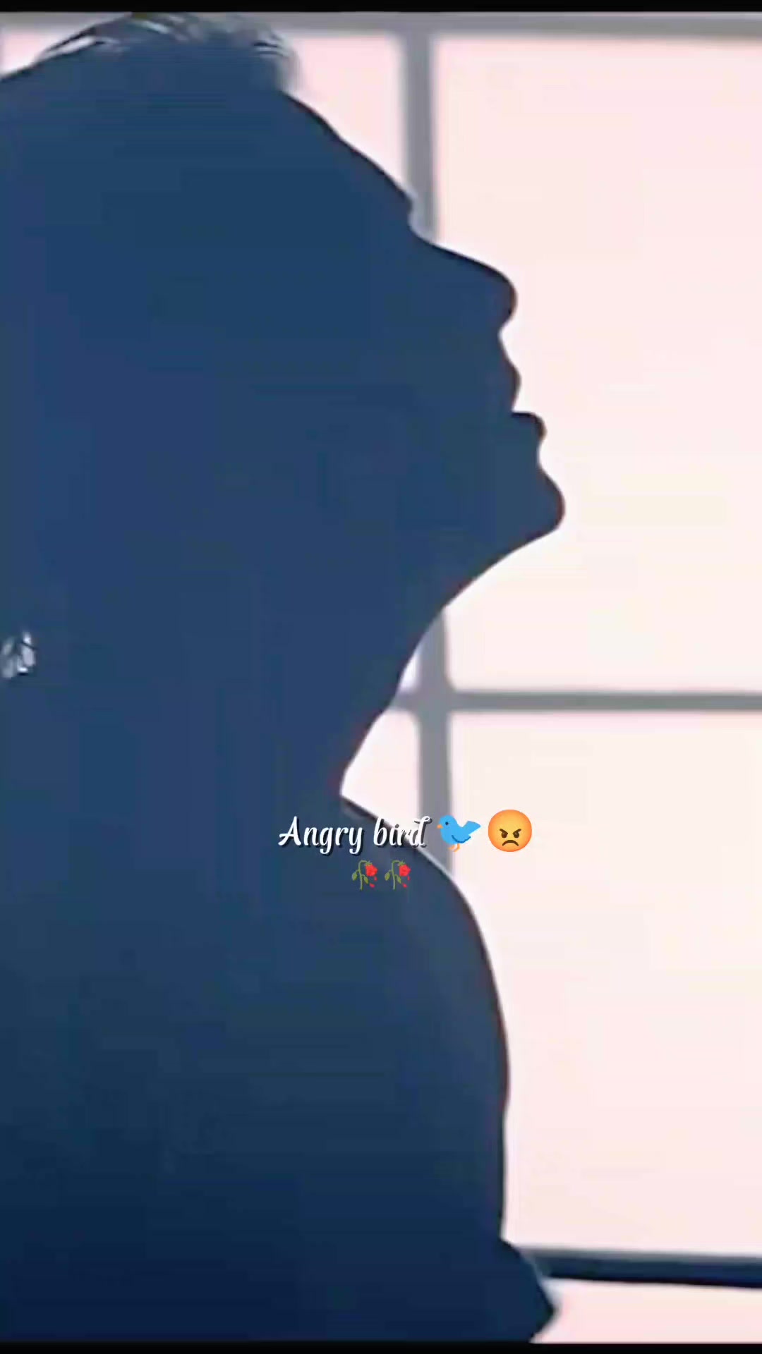 @💫𝖆𝖓𝖌𝖗𝖞 𝖇𝖎𝖗𝖉𝖘💫💥