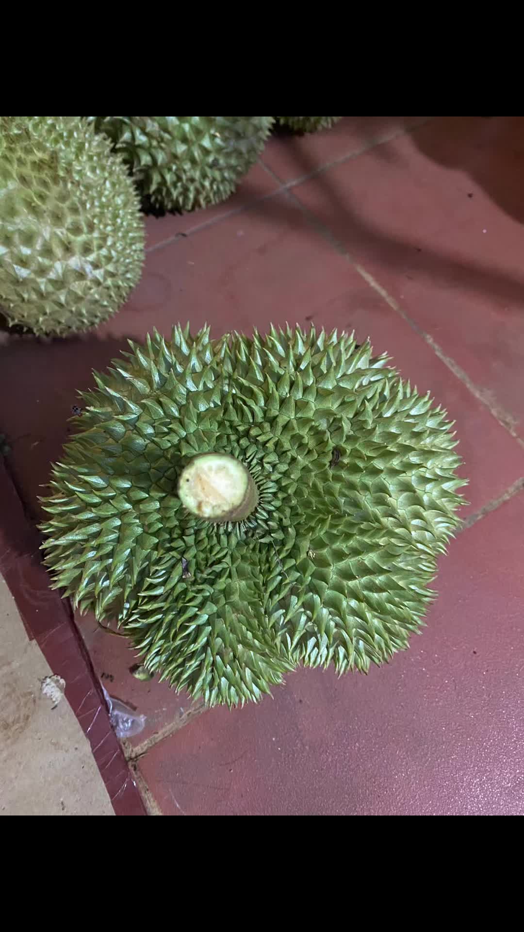 @Hiền Võ Tây Nguyên 🥰