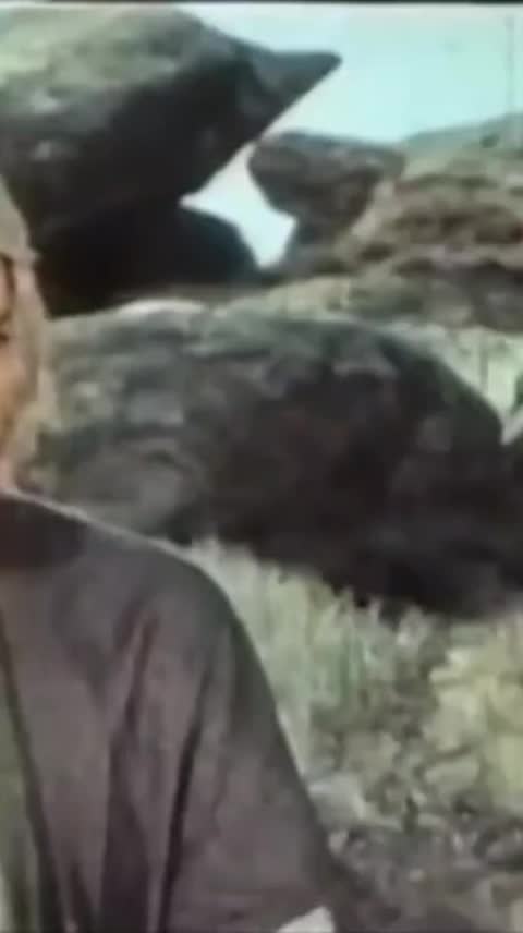 @Dahilər yurdu!