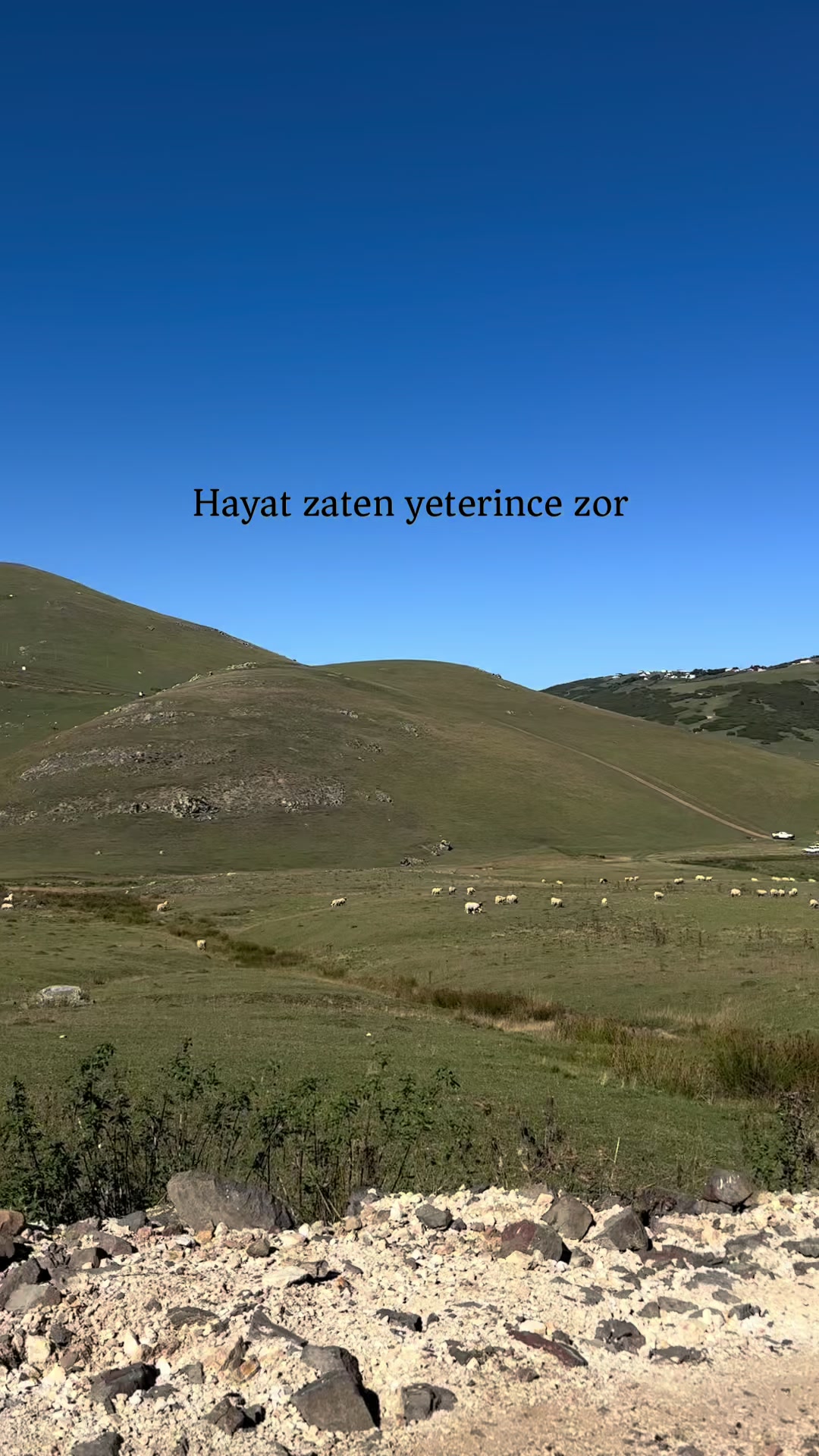 @pınar deniz