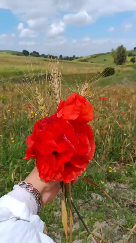 @DUYĞU💚