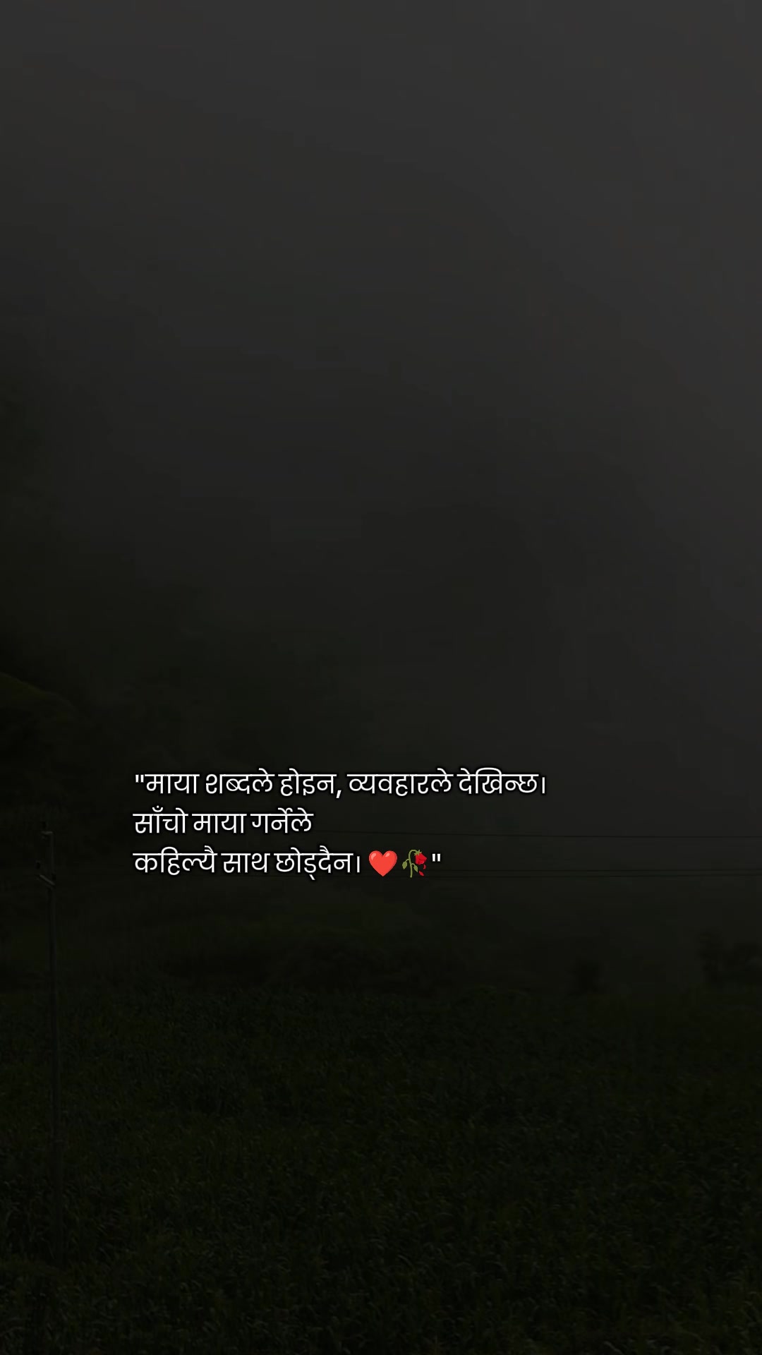 @Shayari Vibes