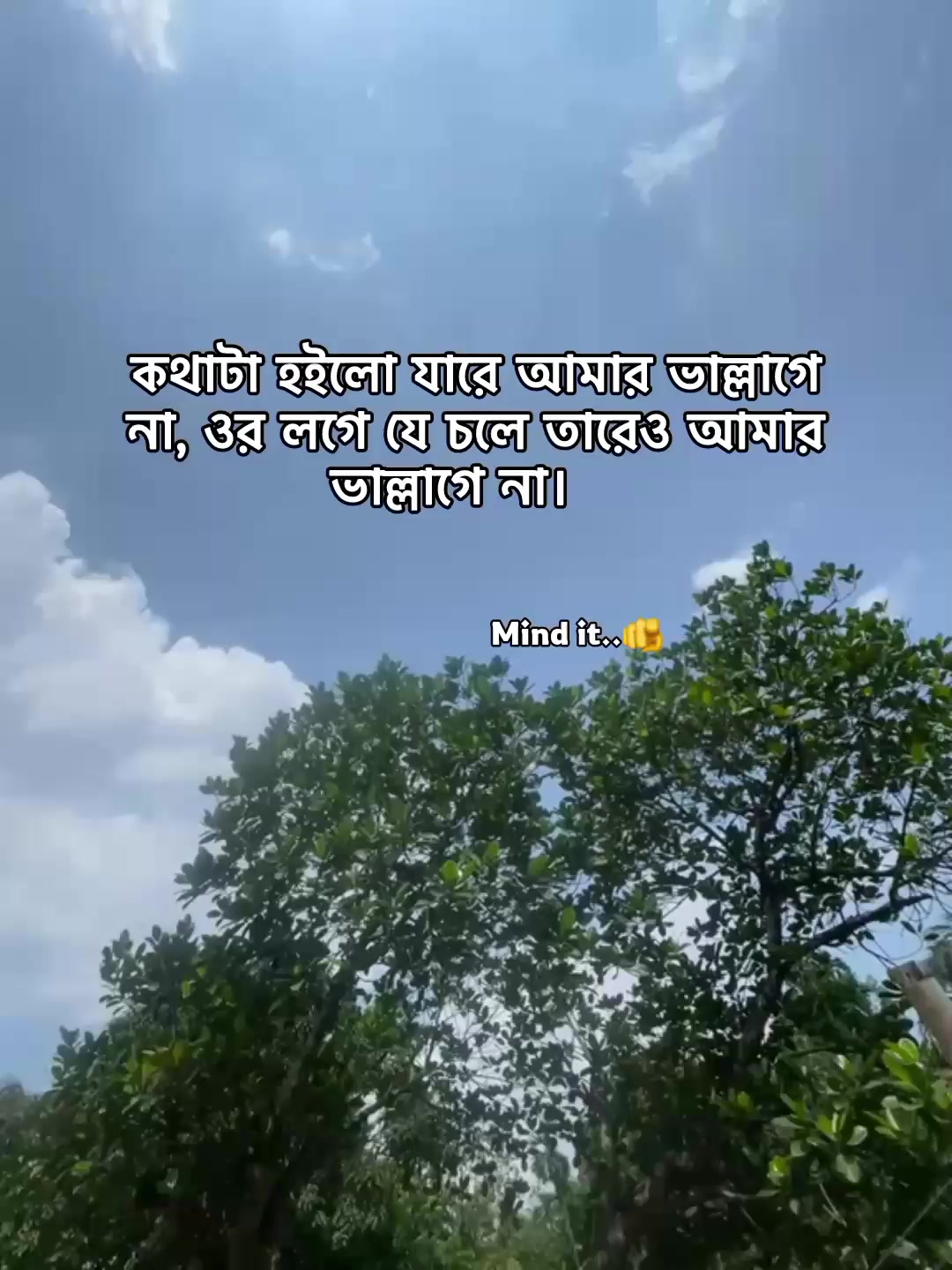 @⁷𝐇𝐚𝐦𝐢𝐝𝐚◡🧃