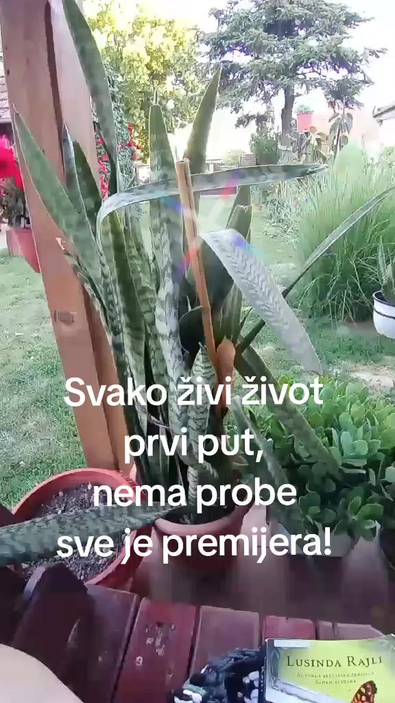 @Hajnalka