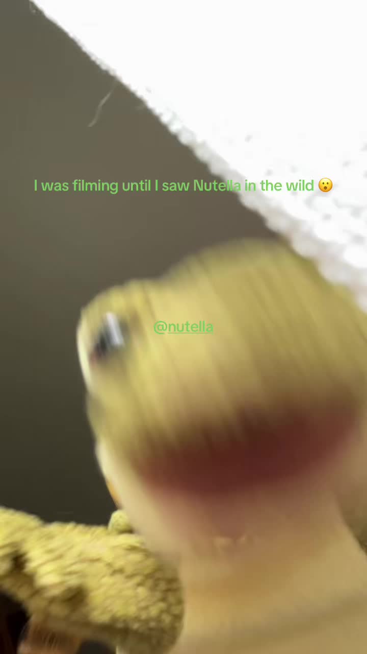 @Freddy_theFreakyFrog