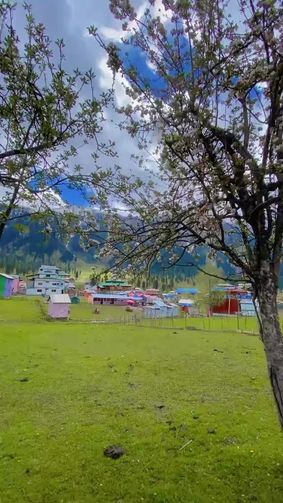 @Neelum Vista Tourism