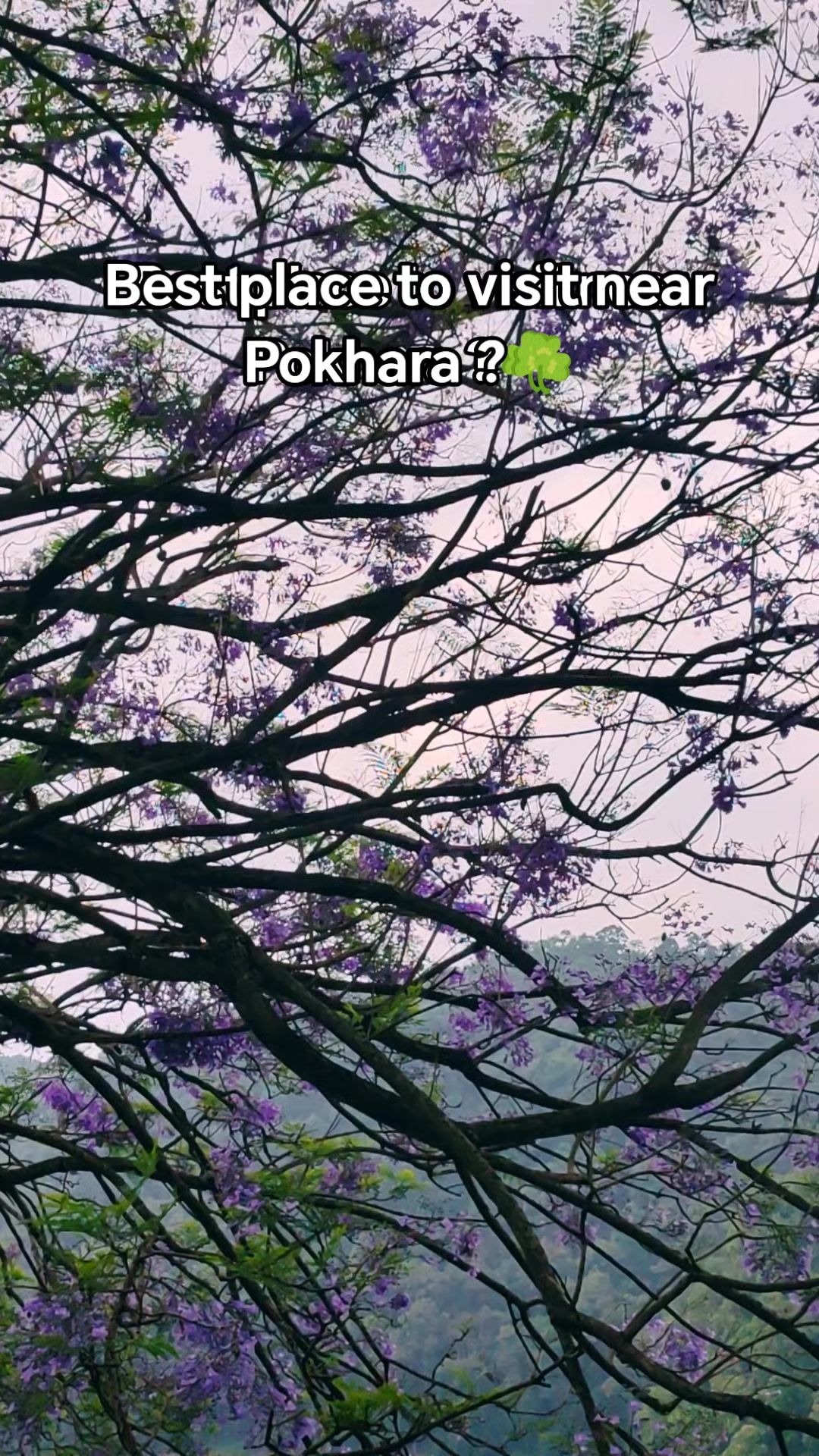 @🍁sapkota preety🍃🍁