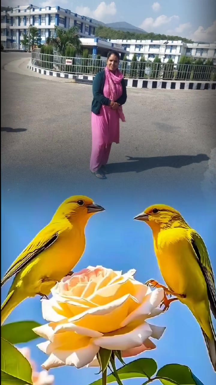 @अनिता 🌹खगेन्द्र
