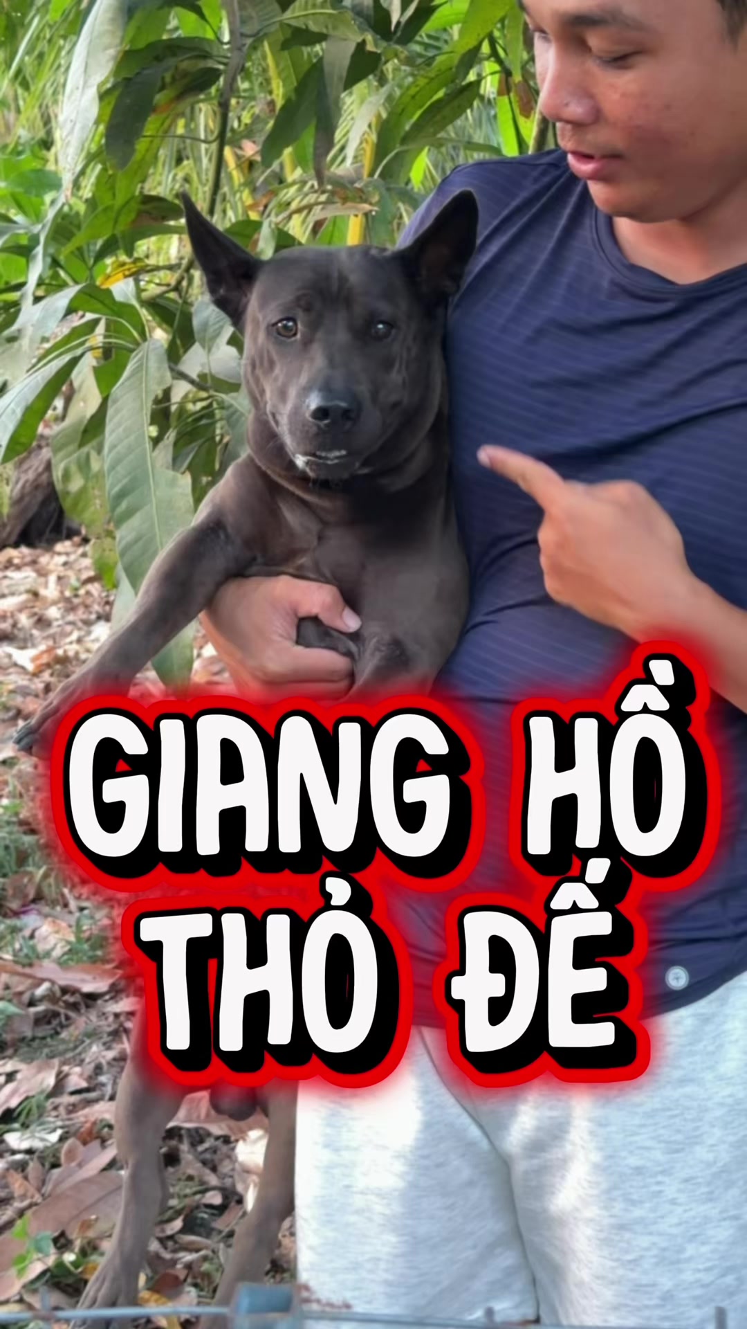 @Tâm Chó Cỏ 🦮