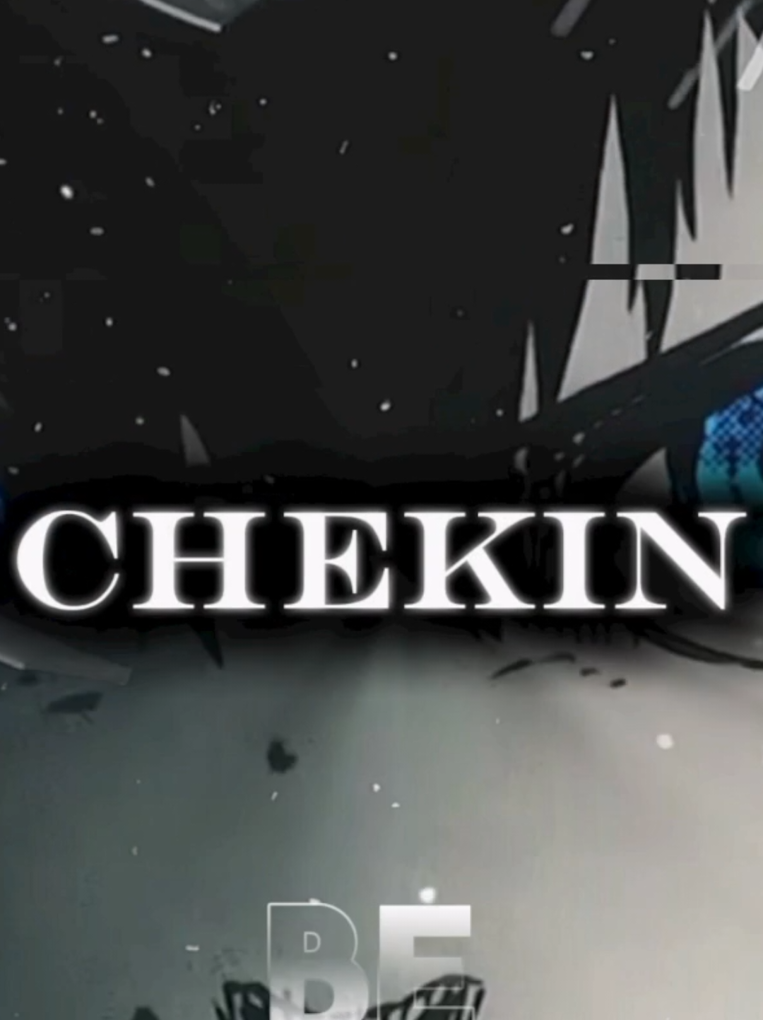 @CHEK1N