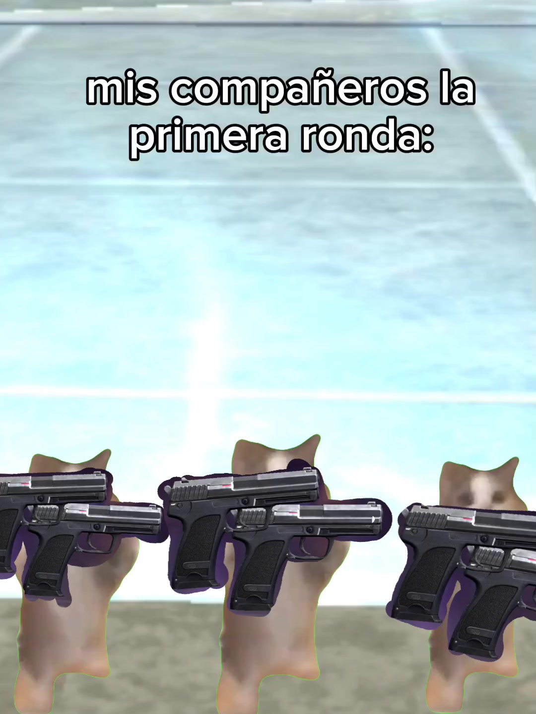@ʙᴜɢѕ_ʙᴜɴɴʏ