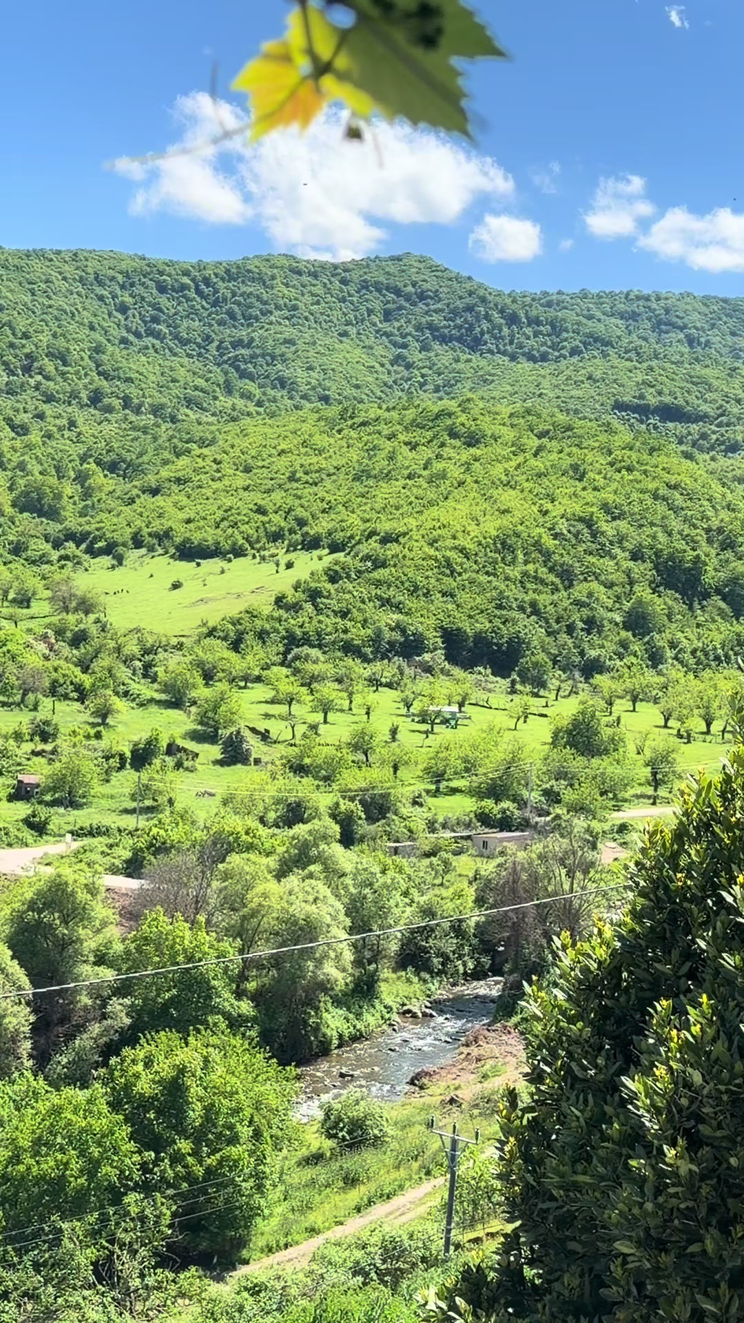 @Elantıra.381