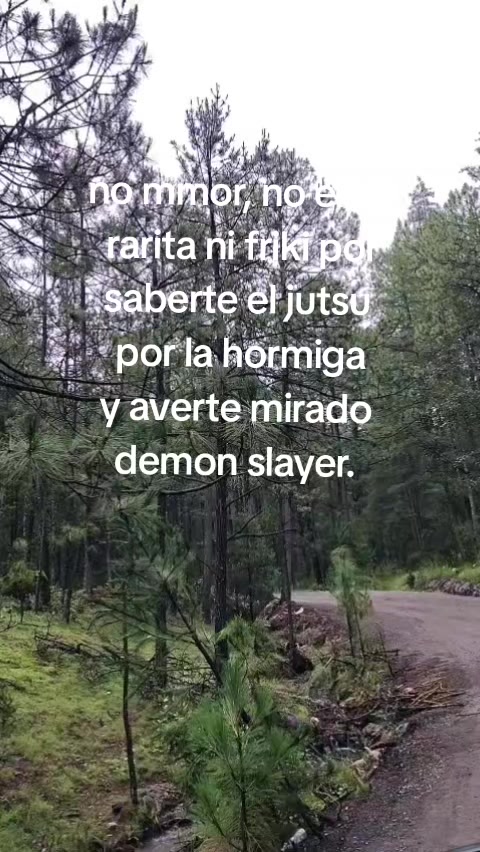 @🐉
