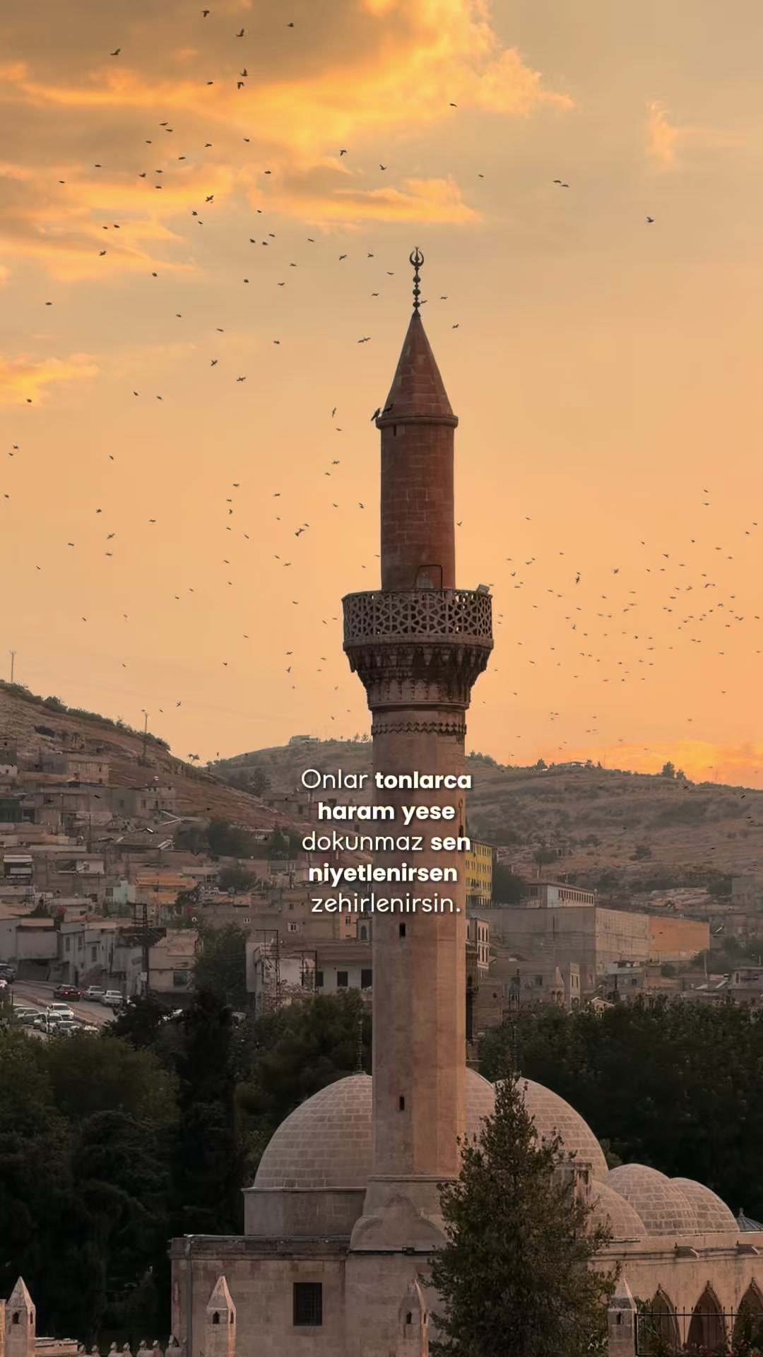 @MehmetDOGAN