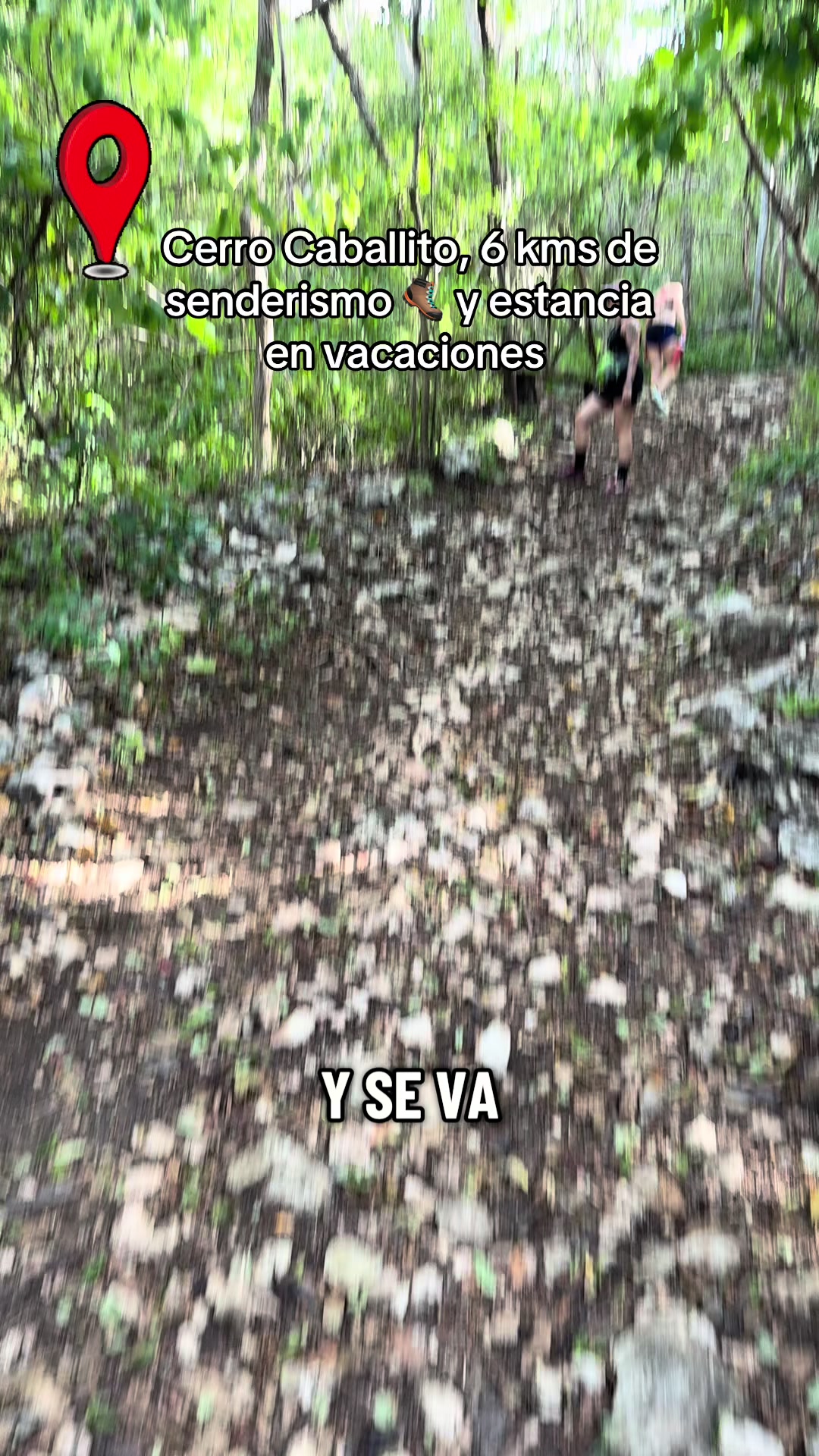 @Oxigenia Buseta Costa Rica