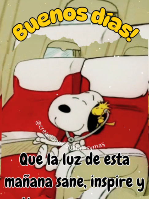 @adachajon.gt