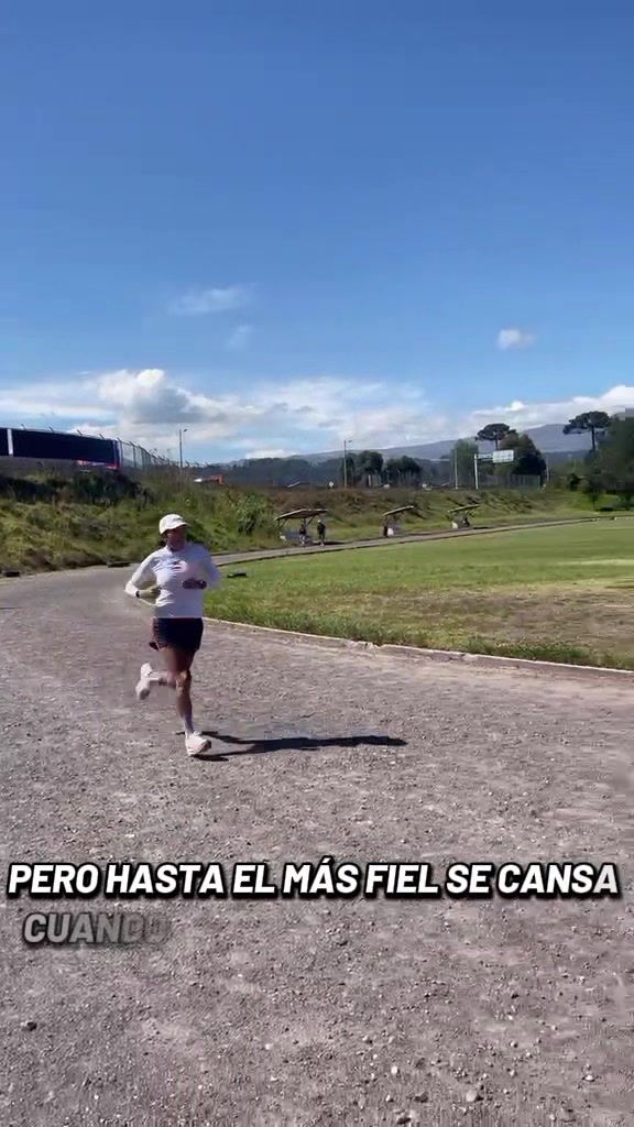 @Blanca Llumiquinga