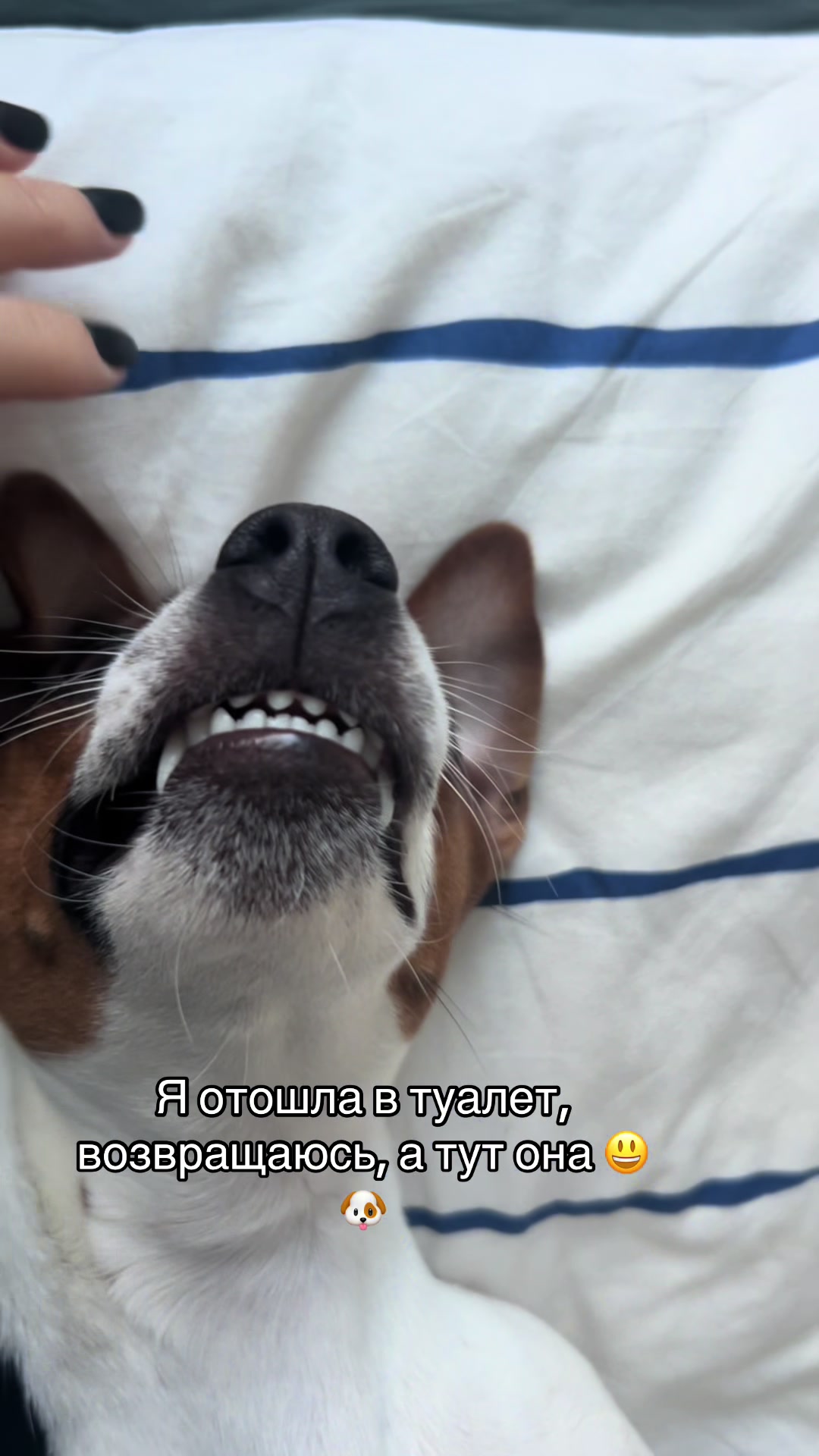 @Ольга психолог и Элли 🐶