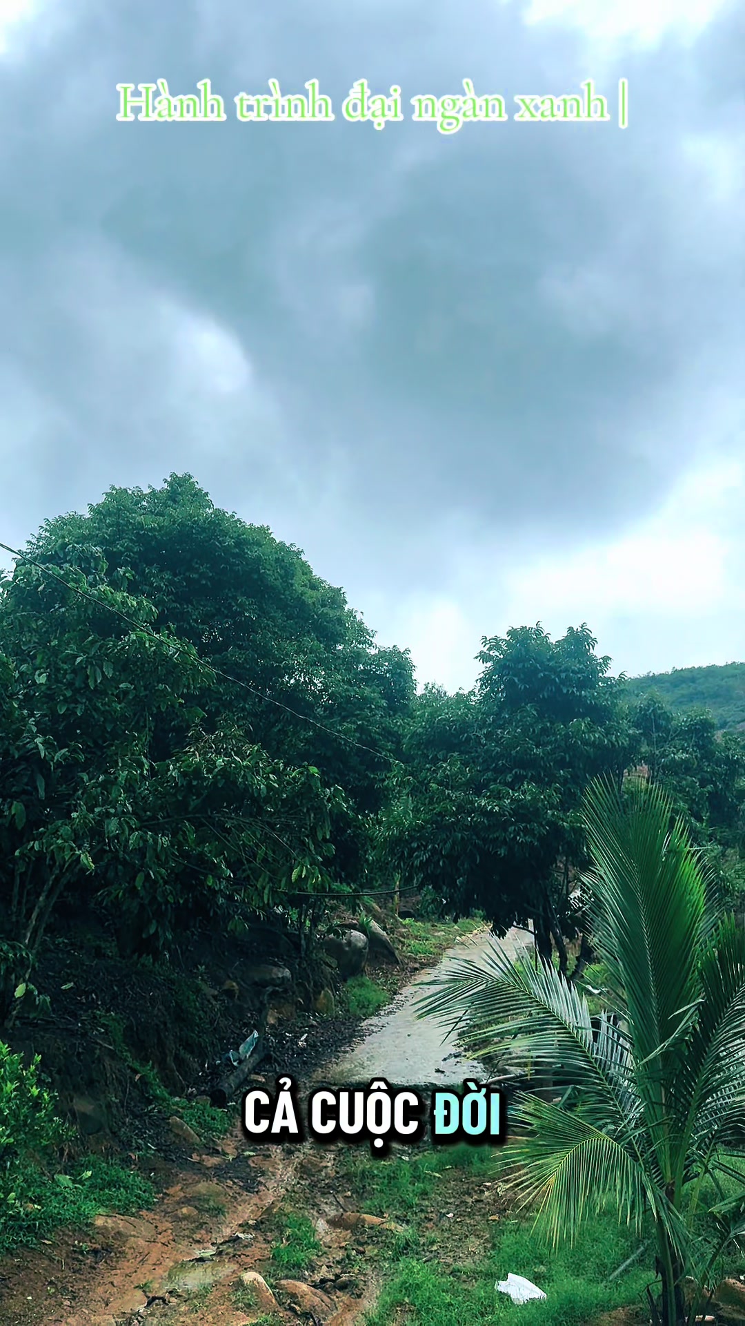 @Dó Đen Việt !