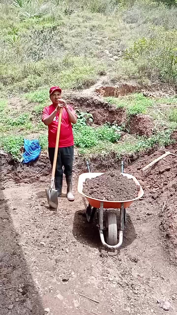 @Sebastian Vásquez